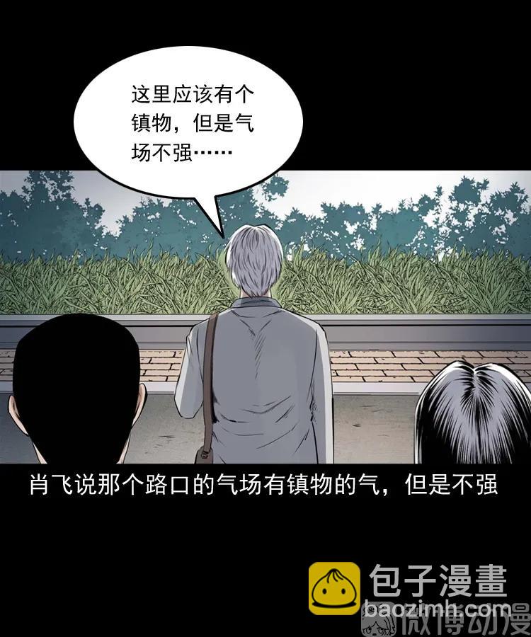 白头翁之抢魂（上）(1/2)-第231话