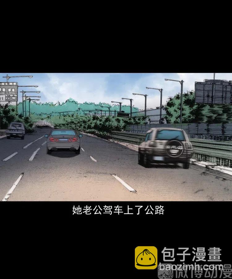 白头翁之招错魂(1/2)-第237话