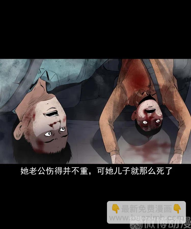 白头翁之招错魂(1/2)-第237话