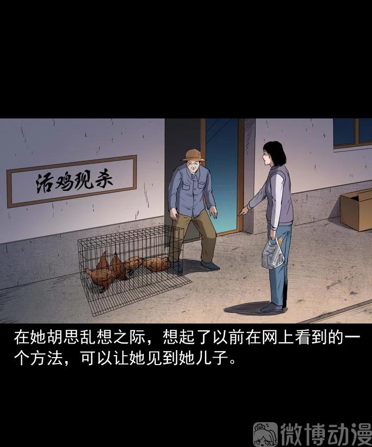 白头翁之招错魂(1/2)-第237话