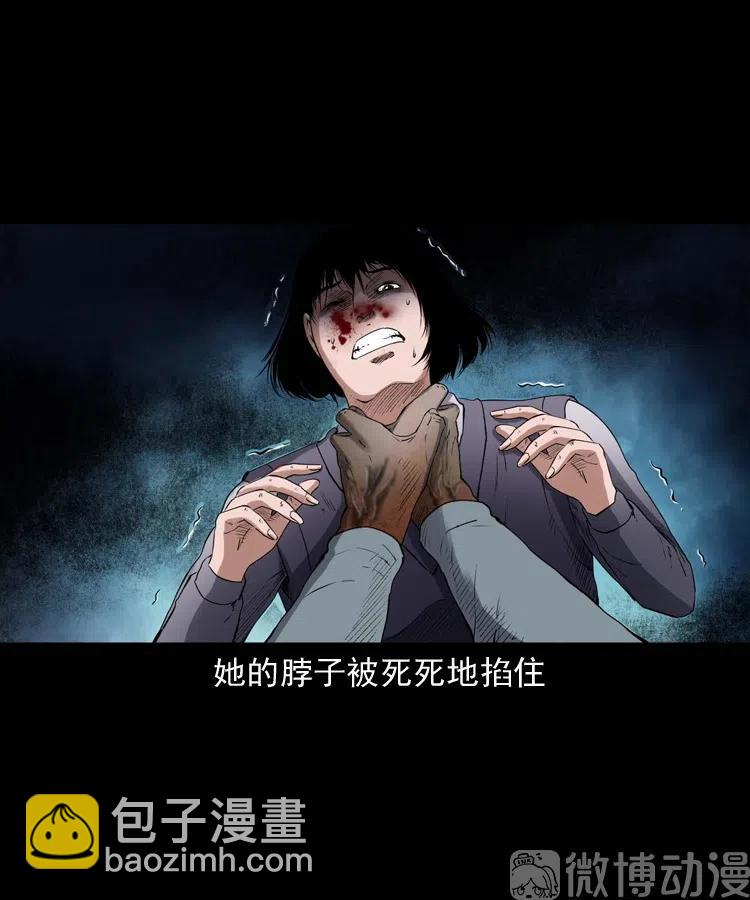 白头翁之招错魂(1/2)-第237话