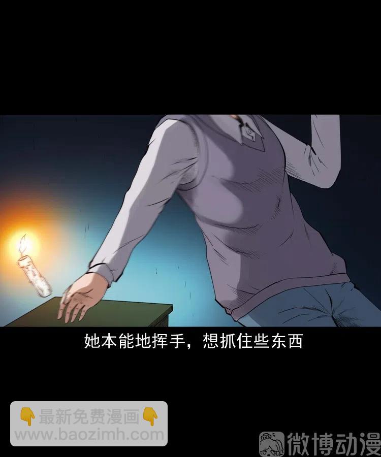 白头翁之招错魂(1/2)-第237话