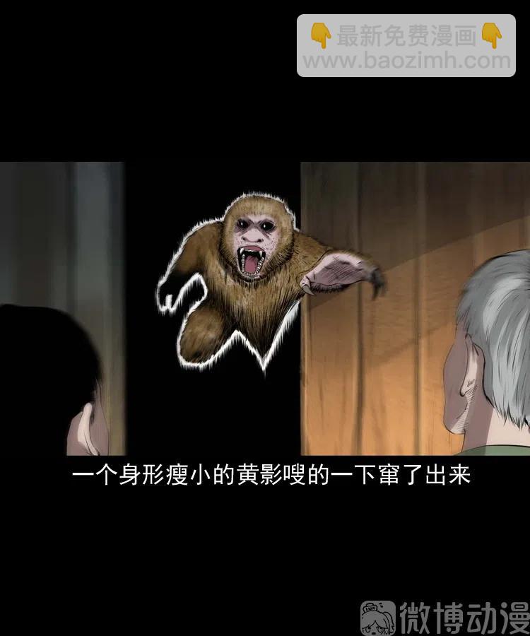 山神的真面目(1/3)-第239话