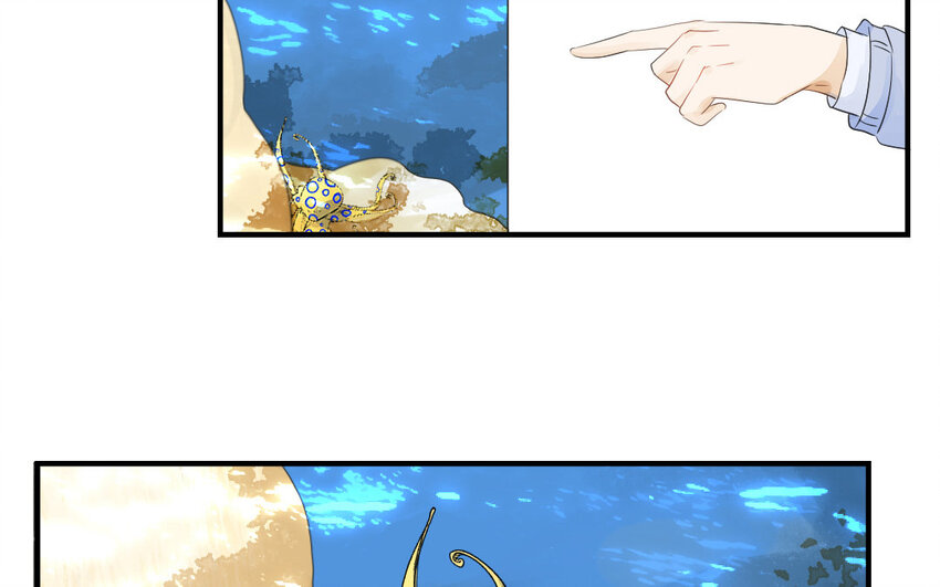 37 第36话 海洋馆(1/2)-第37话