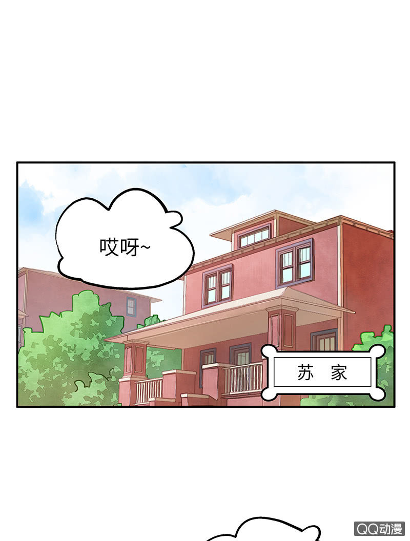 29：父母出场篇（一）-第29话