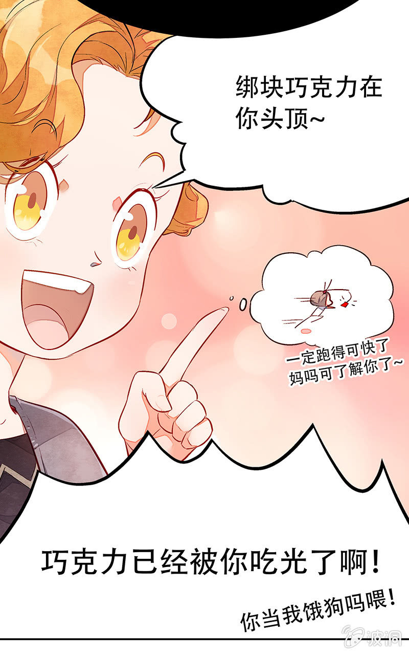 第三十一期-第31话