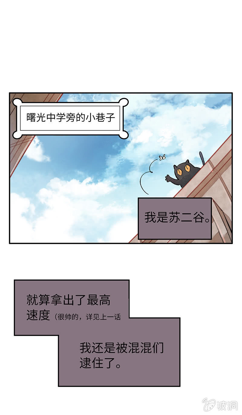 第四十三期-第43话