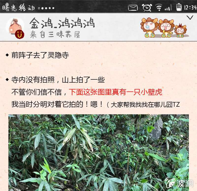 三味苏屋 - 第五十七期(2/2) - 3