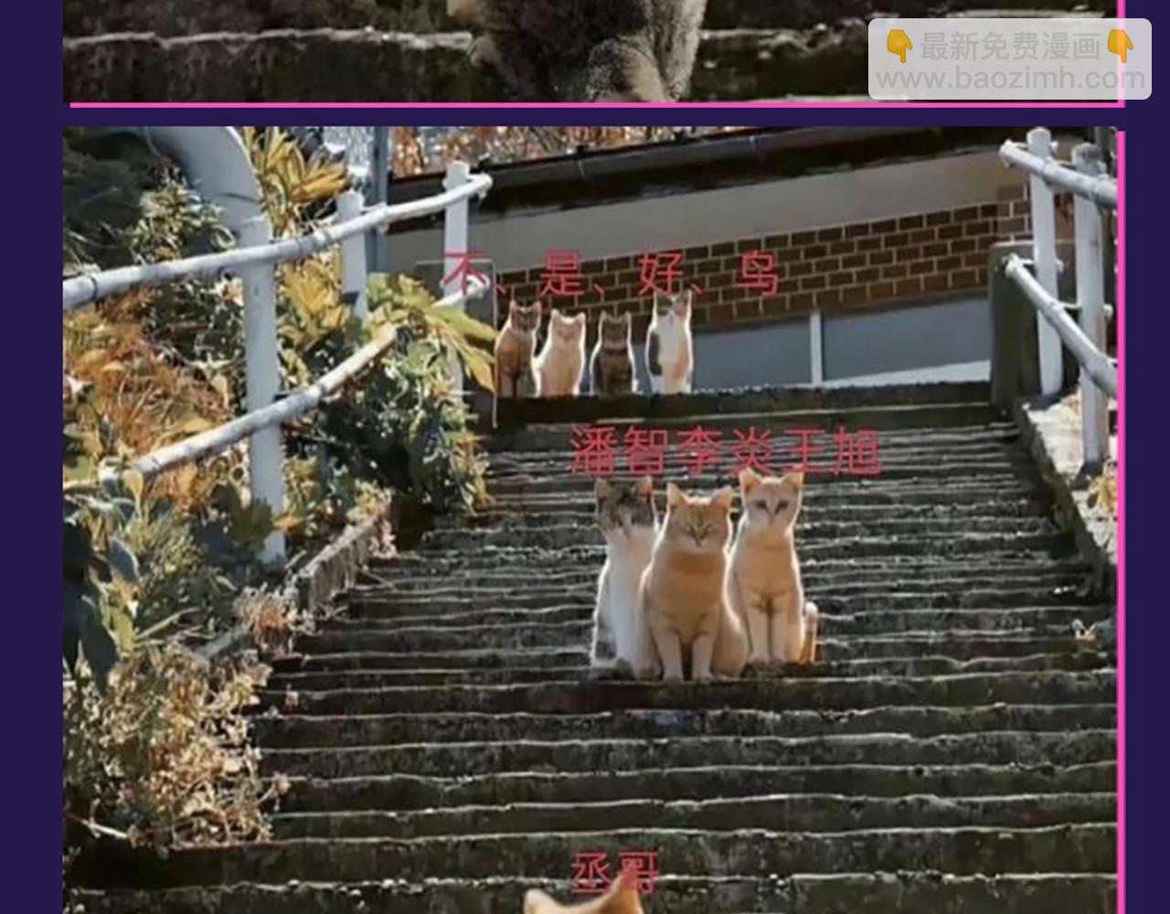 撒野 - 第6期 整活企劃：來自“不是好鳥”的圍觀 - 4