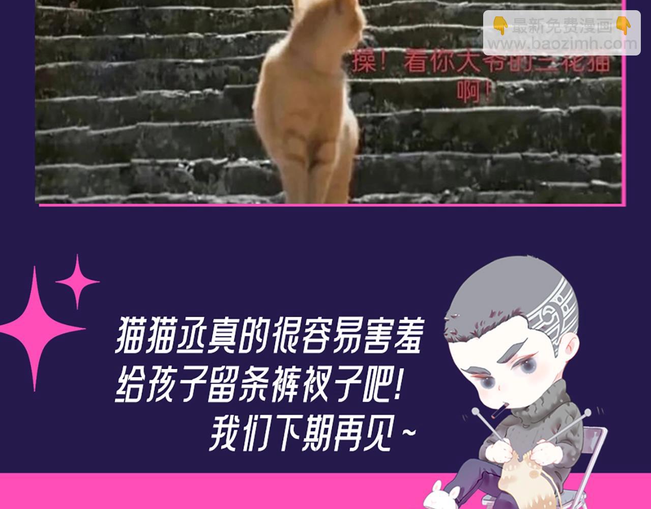 撒野 - 第6期 整活企劃：來自“不是好鳥”的圍觀 - 5