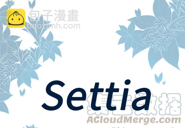 Settia - 1(1/2) - 4