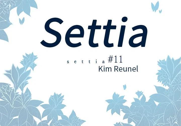 Settia - 11 - 3