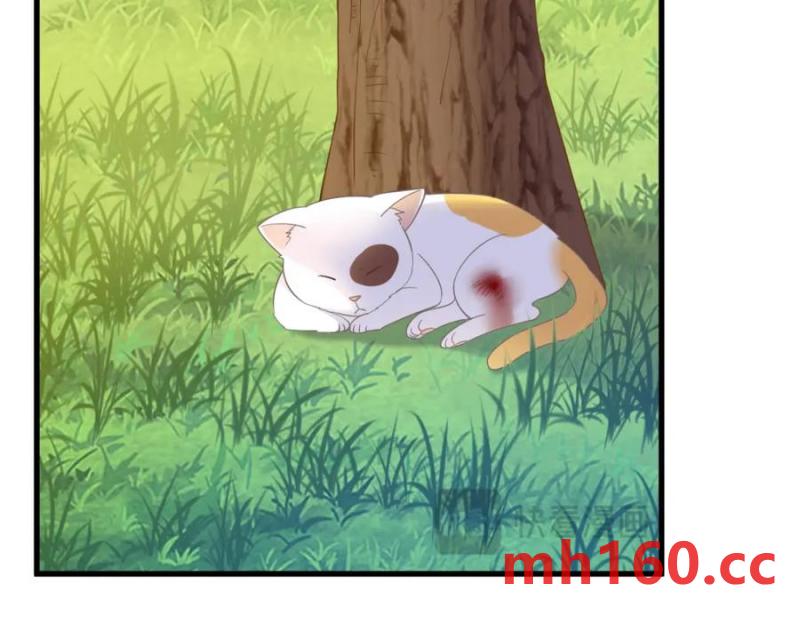 沙雕男神今天又渣了我 - 第183話 短暫的幸福(2/3) - 5