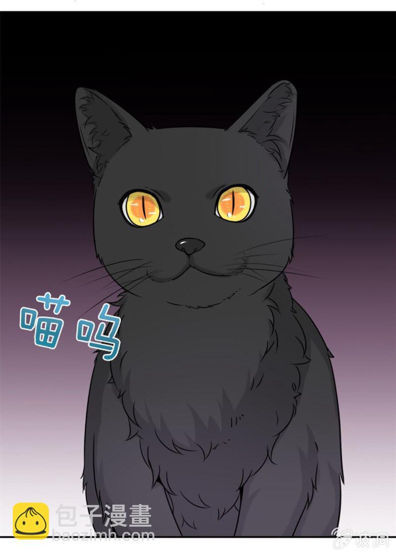 第15话 它可不是普通的猫-第15话