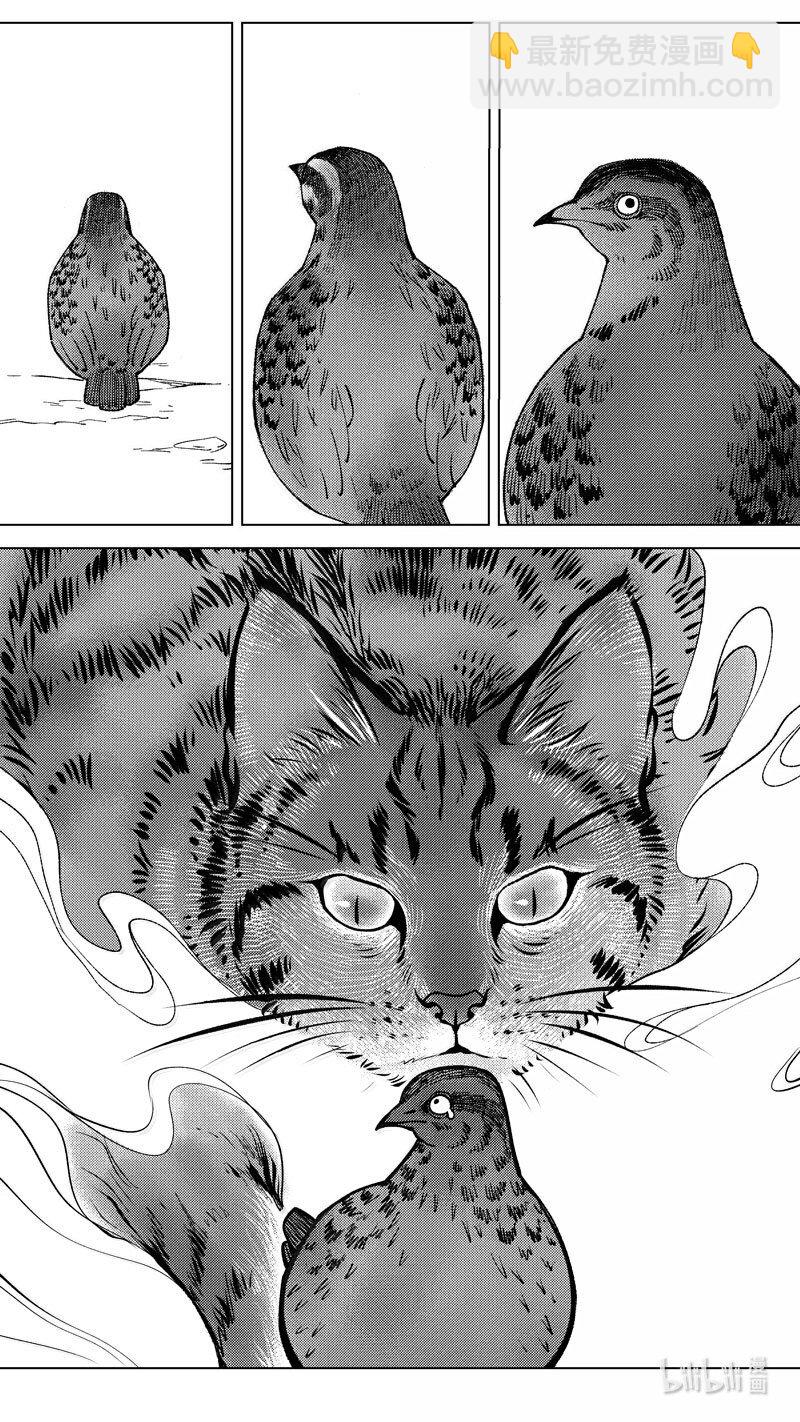 恶奶奶4 探寻-第267话