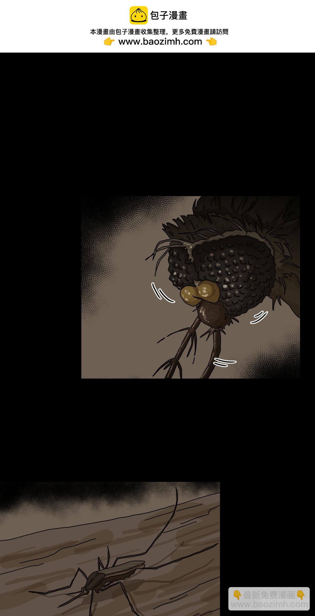 灵堂诡事（十一）-第11话