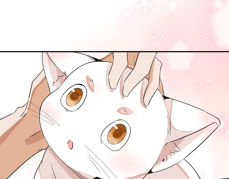 上仙，缺貓否？ - 被盯上了(2/2) - 1