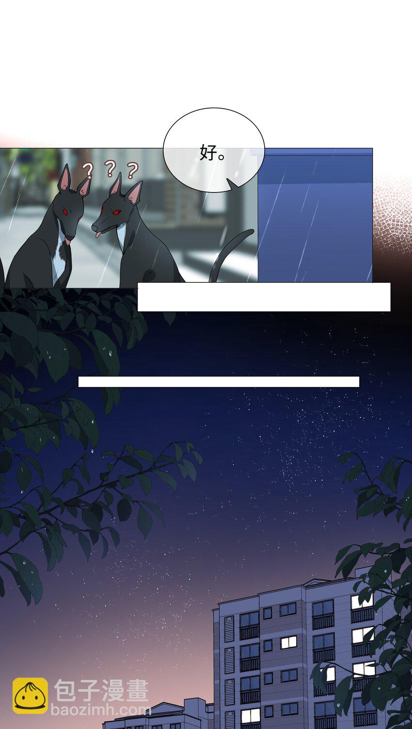 025 深夜投喂-第25话