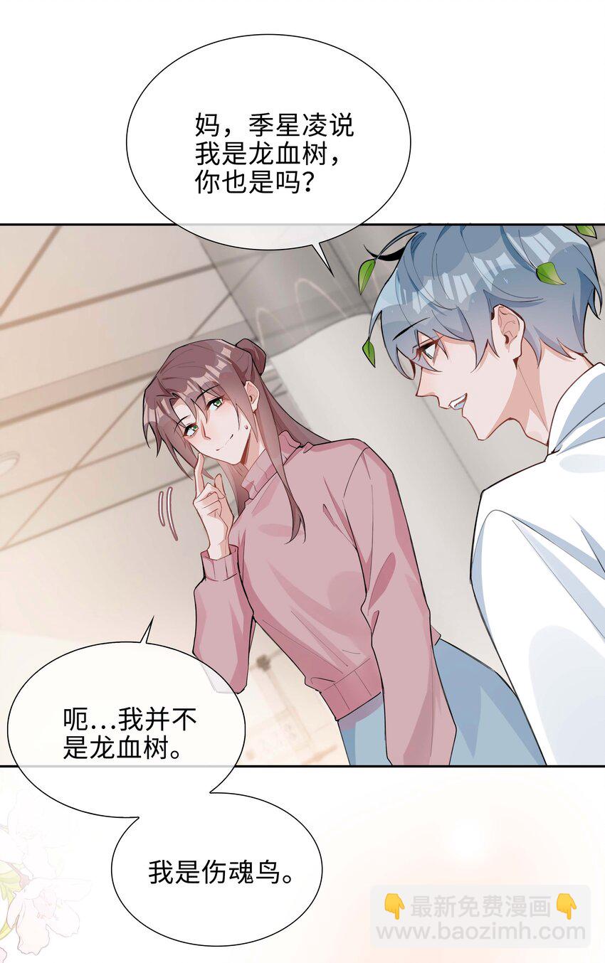 第95话 龙血树都有自己的龙？！-第95话