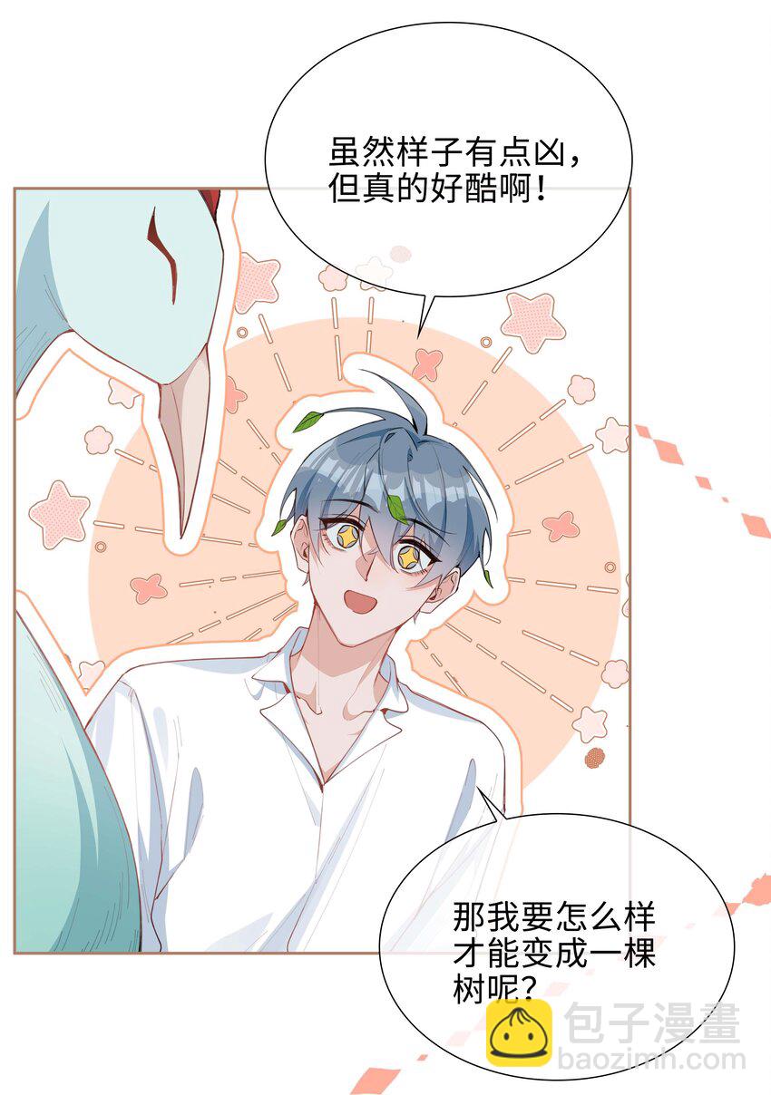 第95话 龙血树都有自己的龙？！-第95话