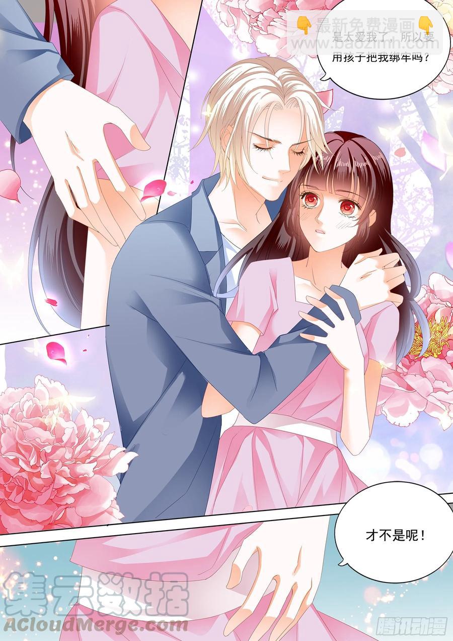 閃婚嬌妻 - 273 生個寶寶吧（下） - 2