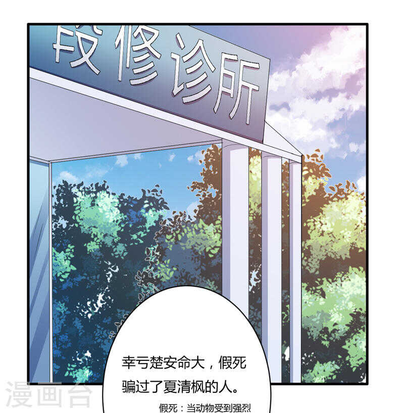 第135话 夏清枫？！(1/2)-第135话