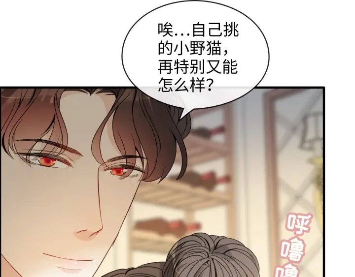 闪婚总裁契约妻 - 第317话 兮兮把总裁推倒啦！(1/2) - 5