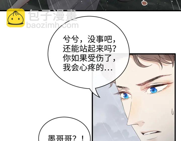 閃婚總裁契約妻 - 第337話 茶山的雨天(1/2) - 4