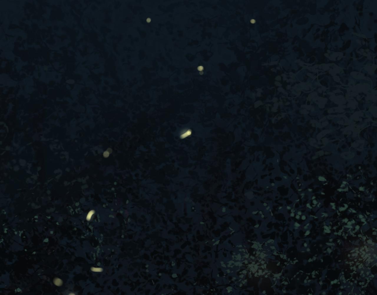 第5话 夏夜萤光(1/2)-第5话