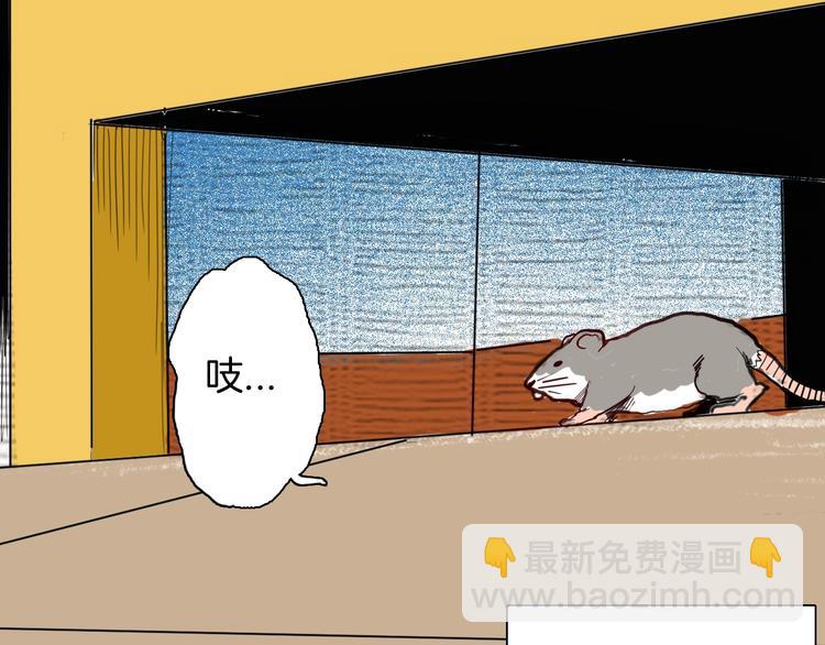 山林怪談 - 第119話 鼠疫(1/2) - 8