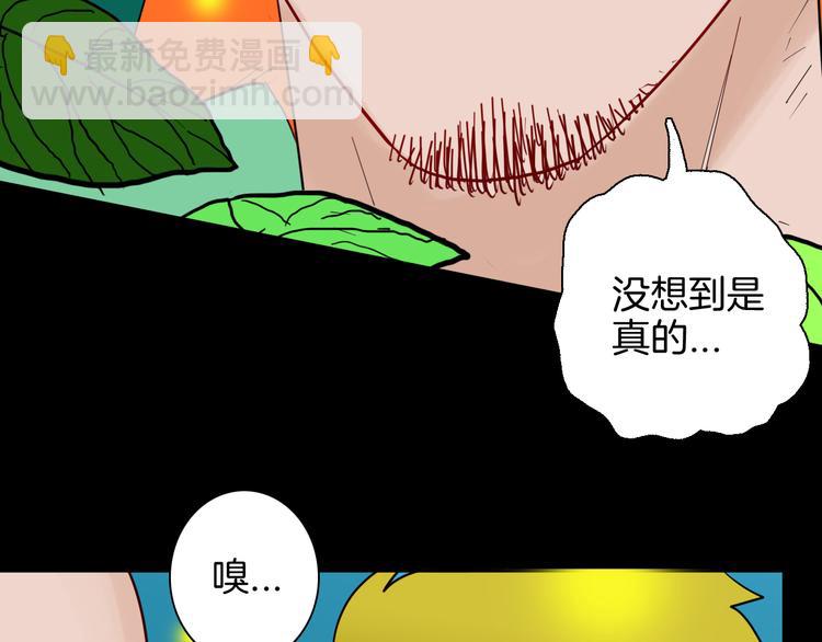 山林怪談 - 第147話 崖柏（下）(1/4) - 6