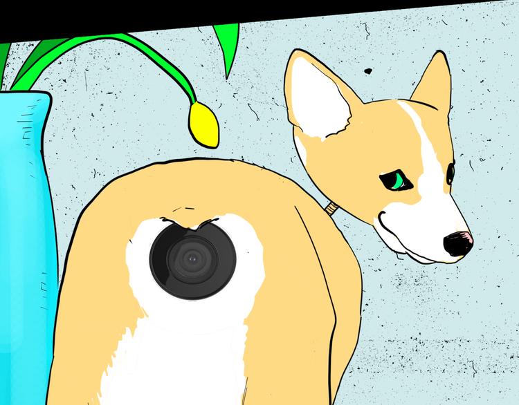 山林怪談 - 第151話 隱形的房客（下）(2/3) - 5