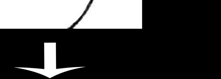 山林怪談 - 第55話 蟲珀收藏家(3/3) - 6