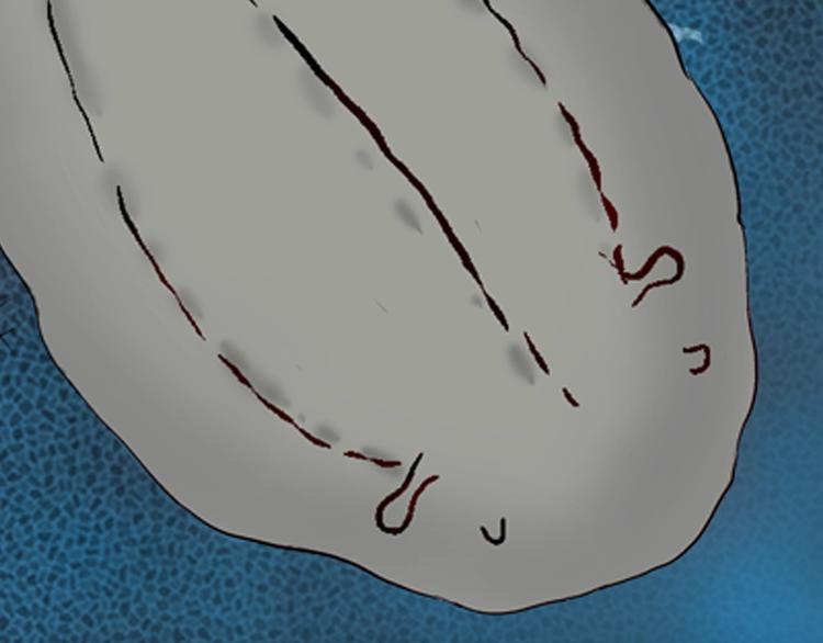 山林怪談 - 第91話 蛞蝓（下）(2/4) - 4