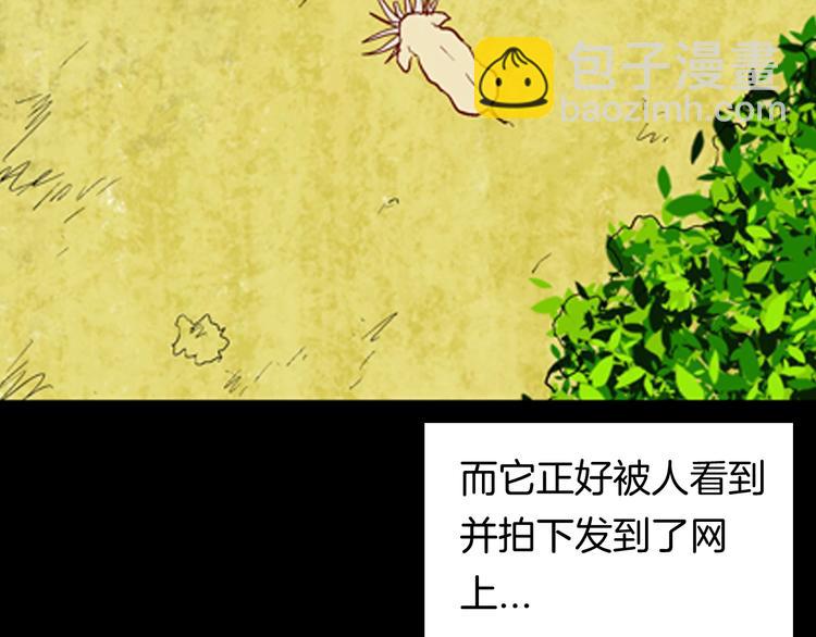 山林怪談 - 第93話 象牙(1/3) - 2