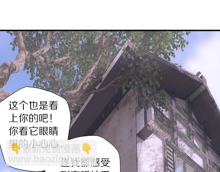 第70话 小枣烂桃花爆发(1/3)-第77话