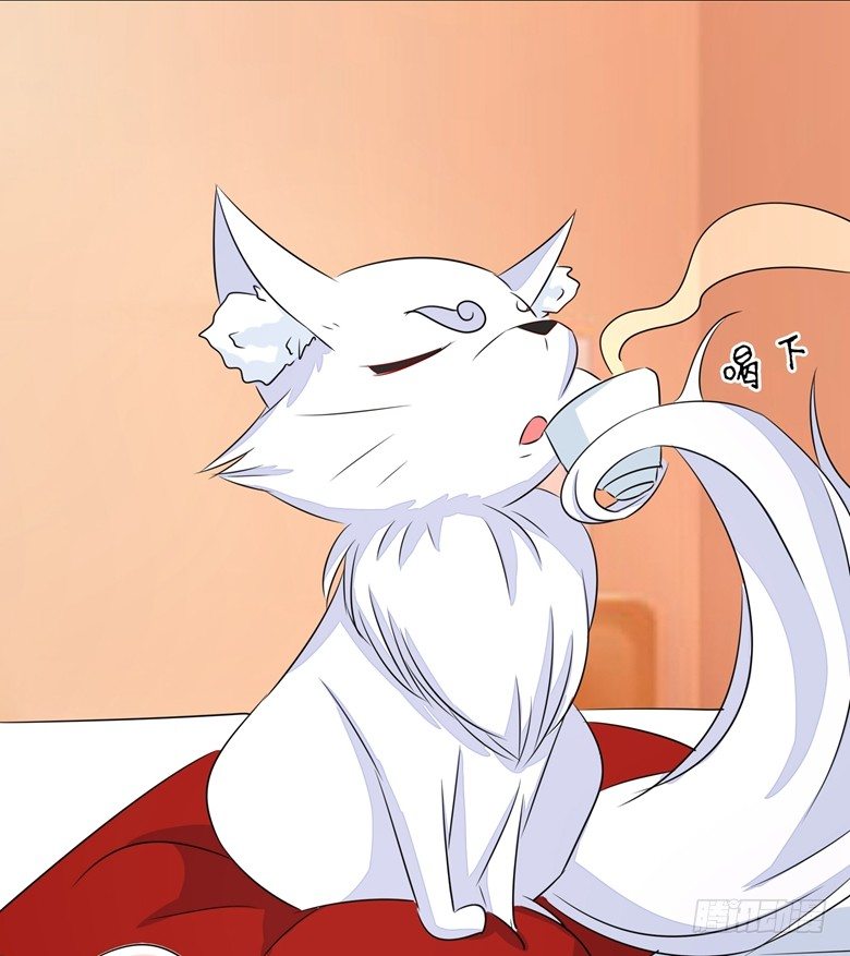 067：小白青司-第67话