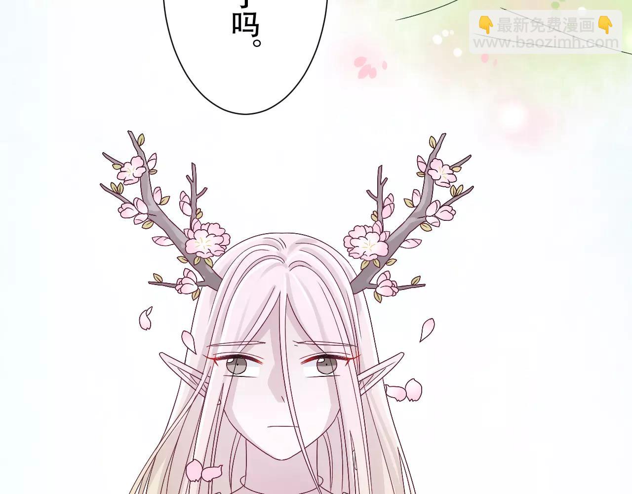 第12话 雪雪的离开(1/2)-第13话