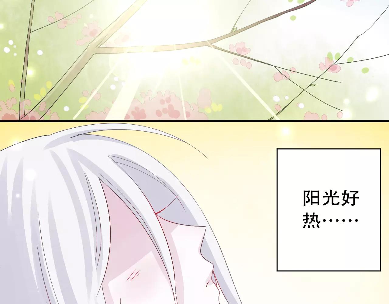 第12话 雪雪的离开(1/2)-第13话