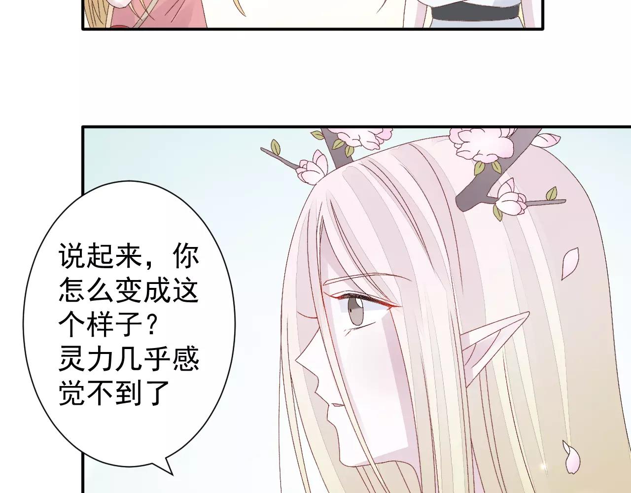 第18话 保护山灵(1/2)-第19话