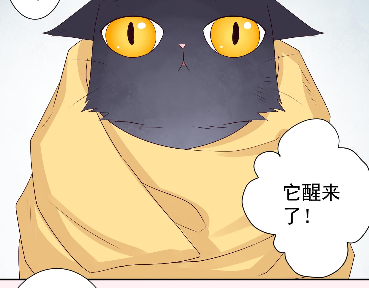 第46话  承诺(1/2)-第47话