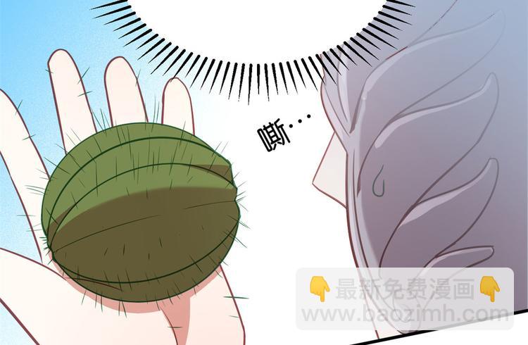 第11话 仙人球(1/3)-第11话