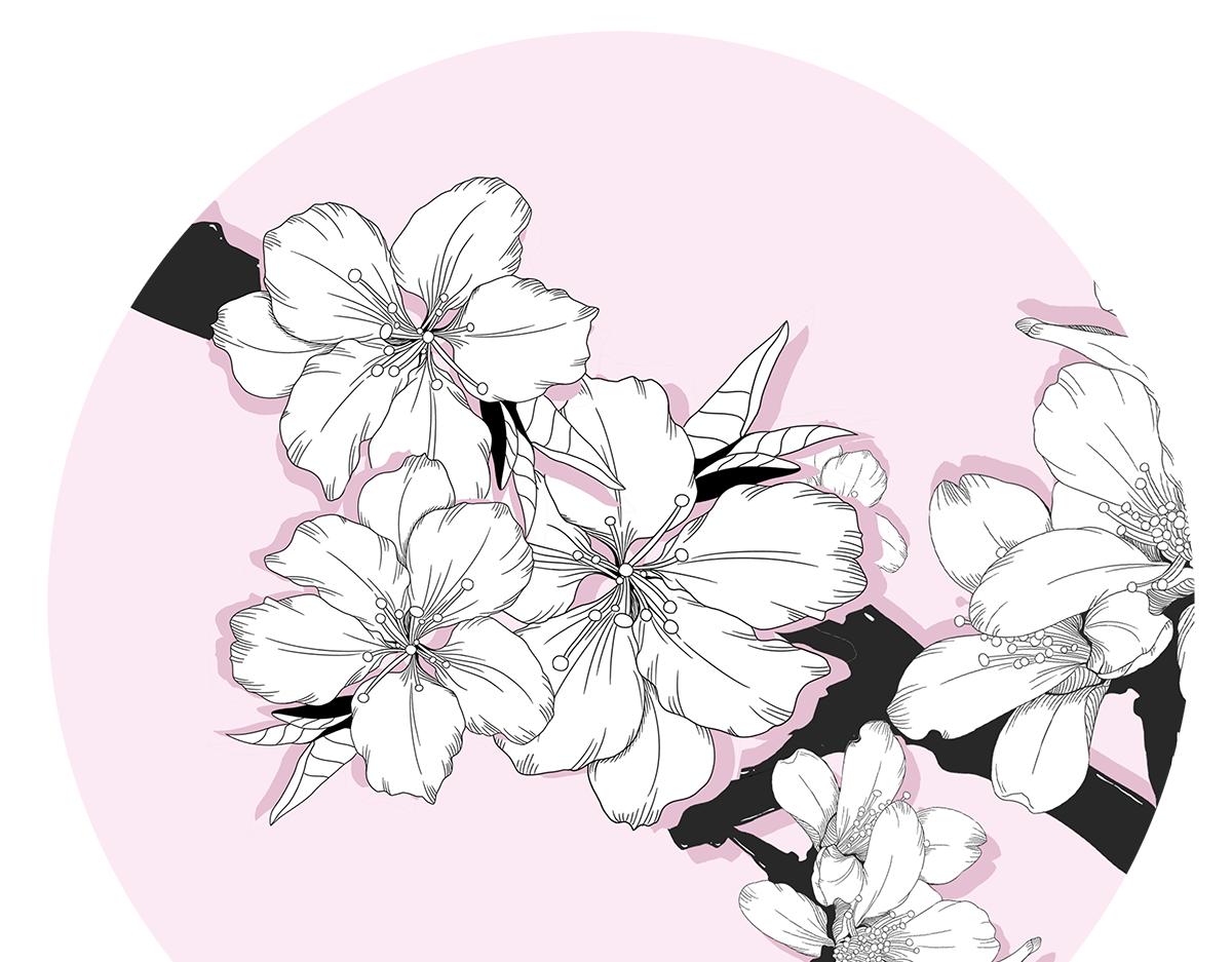 桃花开了~(1/2)-第11话