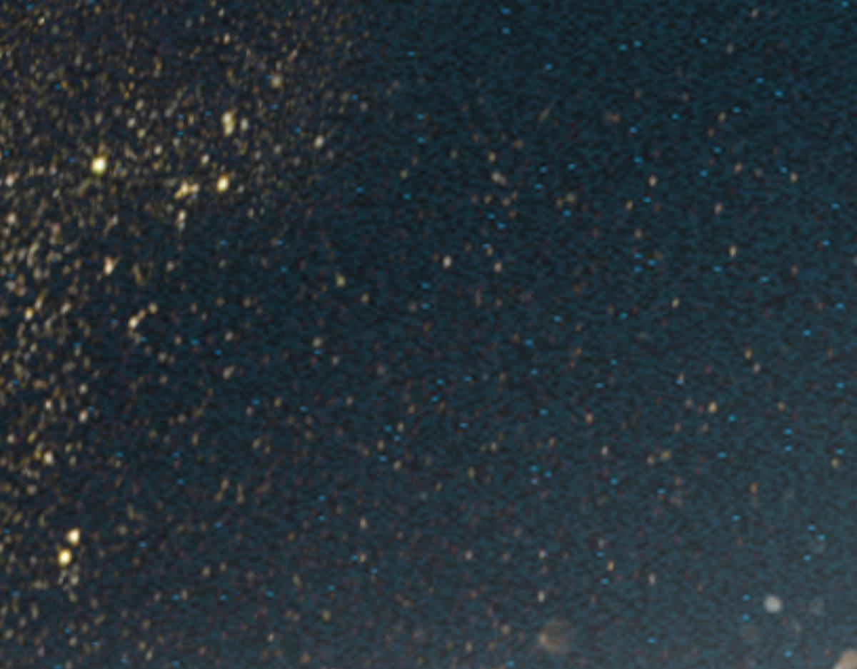 桃花开了~(1/2)-第11话