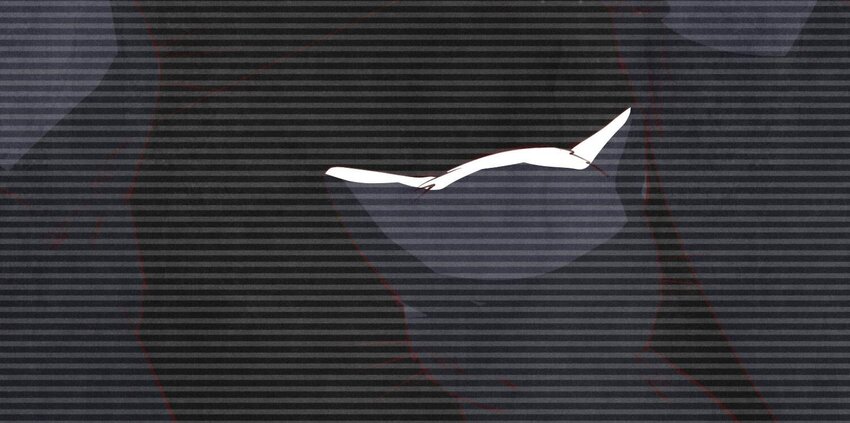 19 第13话（上） 野猫(1/2)-第19话