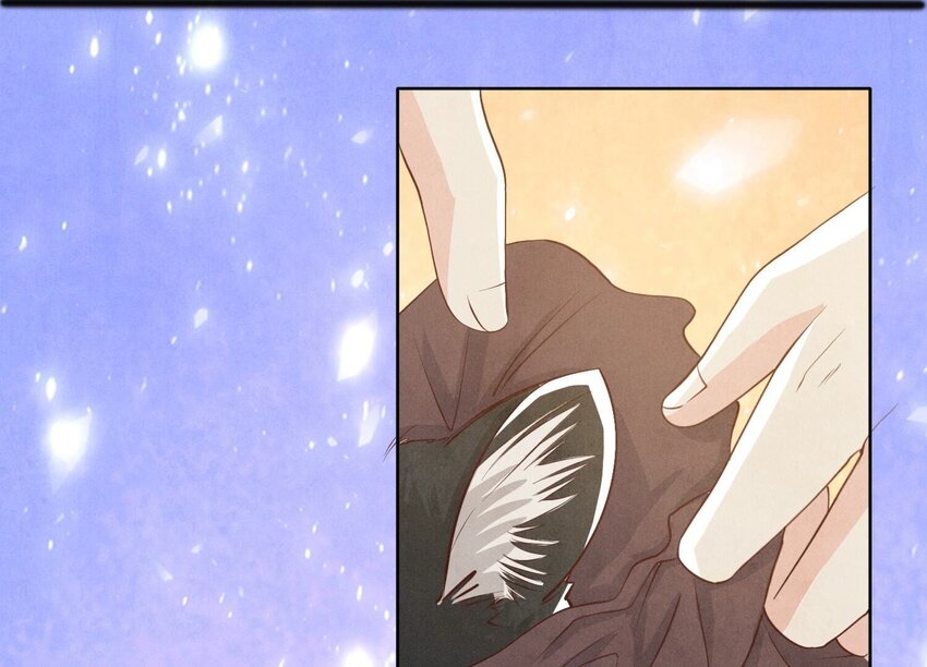 19 第13话（上） 野猫(1/2)-第19话