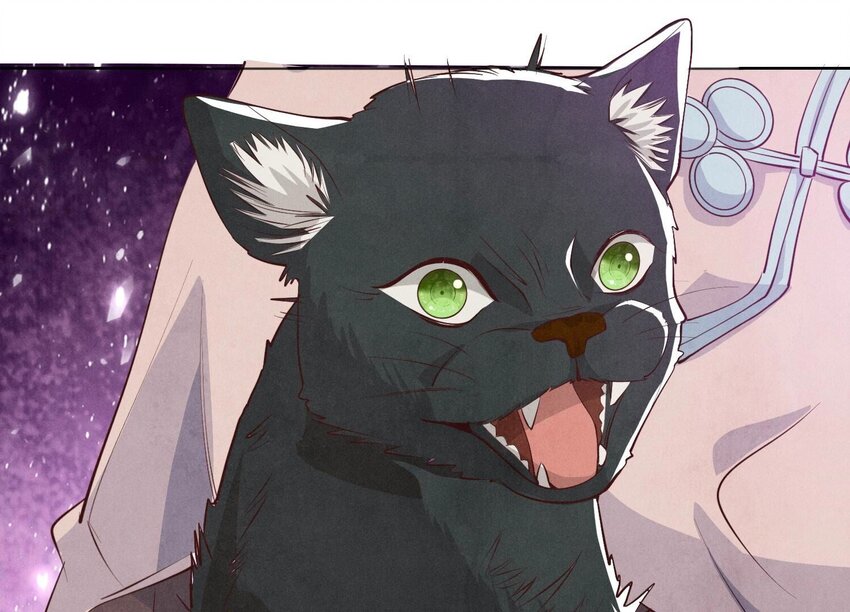 19 第13话（上） 野猫(1/2)-第19话