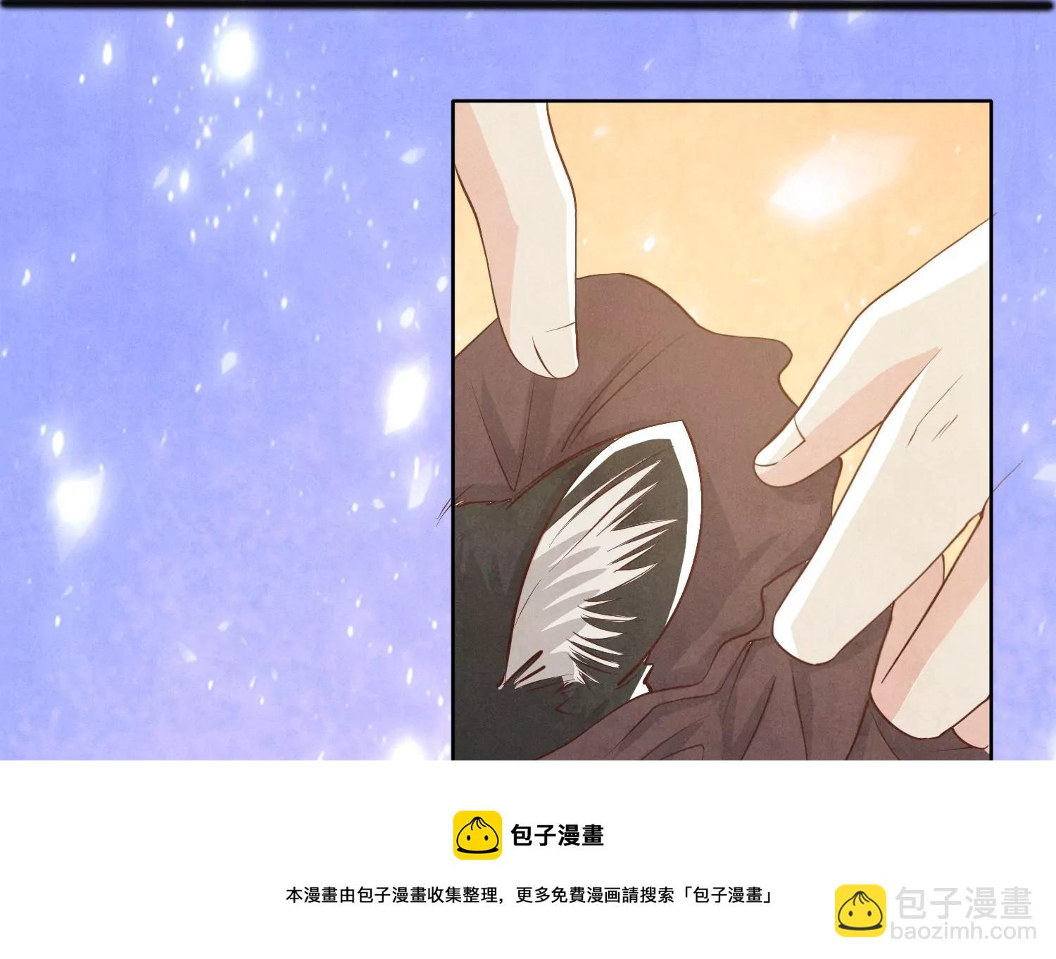 少帥每天都在吃醋2:少帥是醋精 - 第18話 野貓(1/2) - 5