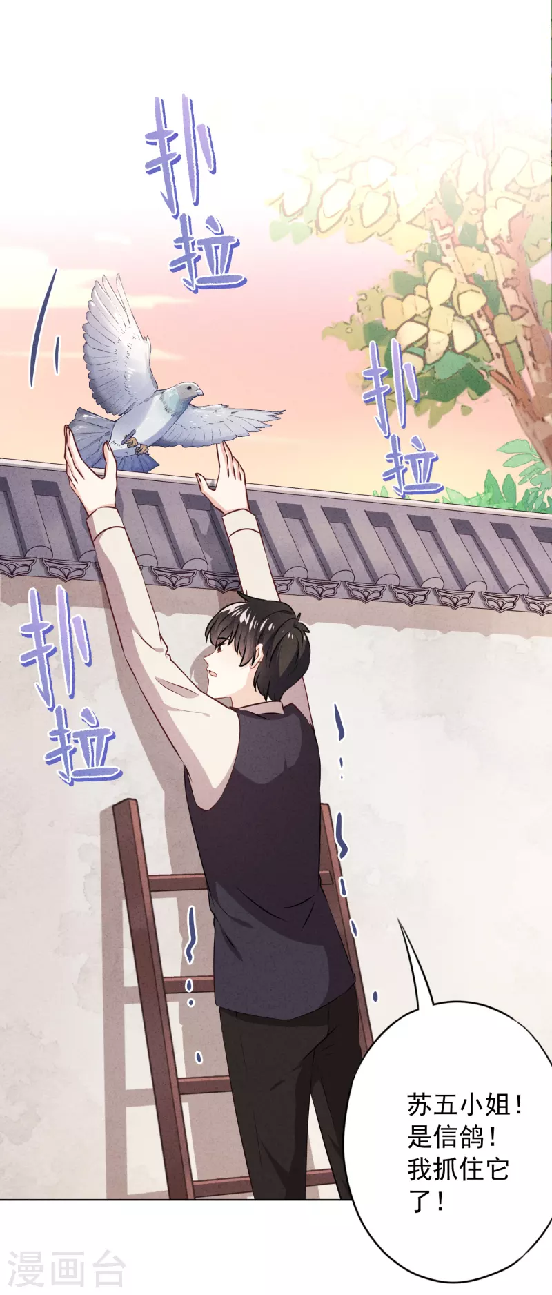 第142话 行动信号-第149话