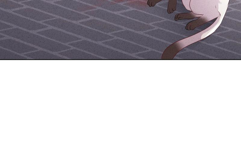 第101话(1/2)-第101话